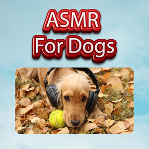 Dog Relaxation Music