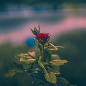 Sessizlik Kırılır