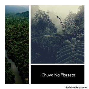 Floresta Chuvosa