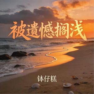 被遗憾搁浅