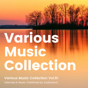 ハードボイルド・バレット