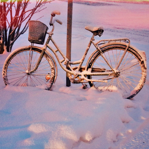 그럭저럭 괜찮아