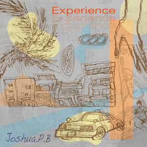 Experience