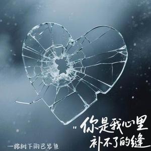 你是我心里补不了的缝