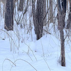 Merry Go Round of Life (Xakei Volume 2) (Put on 9.x volume Special Version)