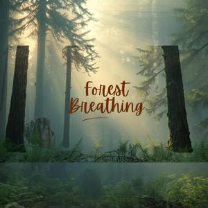 Forest Breathing