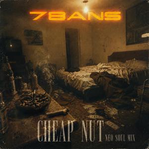 Cheap nut (neo soul mix)