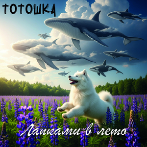 Лапками в лето (Radio Edit)