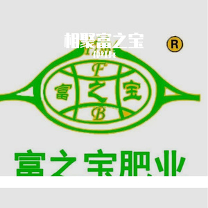 相聚富之宝 男版
