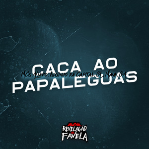 Caça ao Papaleguas