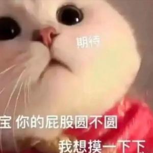 春泥