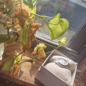 ラベンダーの香り