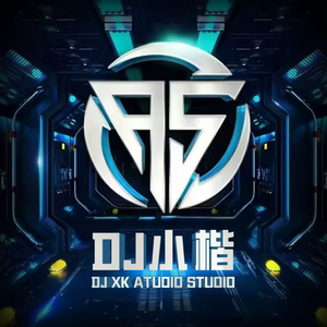 冰冰摇（DJ版）