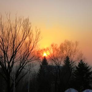 逐梦路上万丈光芒