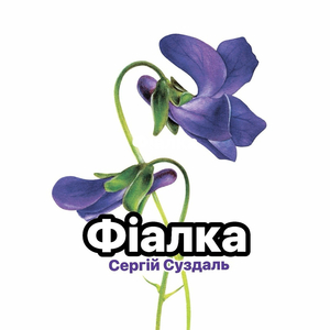 Фіалка