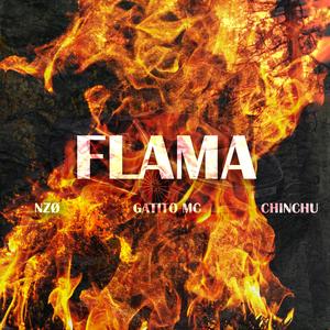 Flama (feat. NZØ & Gatito MC)