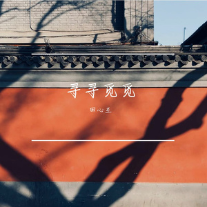 寻寻觅觅