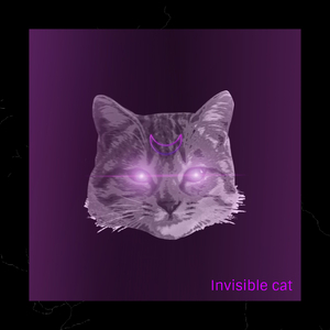 Invisible Cat
