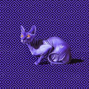 最美的她（prod.by T.A.）