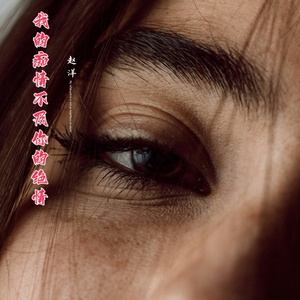 我的痴情不及你的绝情(海南DJ茂)