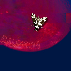 badmoon