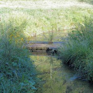 Time Flows Like Mountain Wind