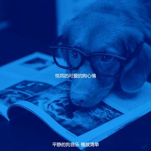 安静的放松的狗声音