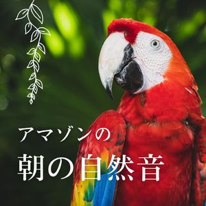 朝のリラックス