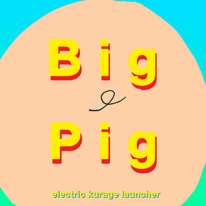 Big Pig (Big Pig 2025Remix)