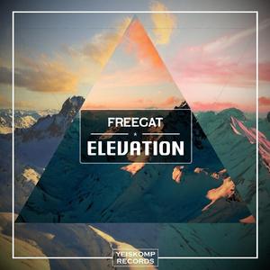 Elevation (Original Mix)