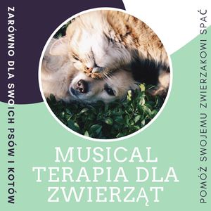 Wewnętrzna medytacja