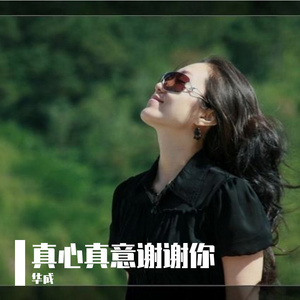 真心真意谢谢你