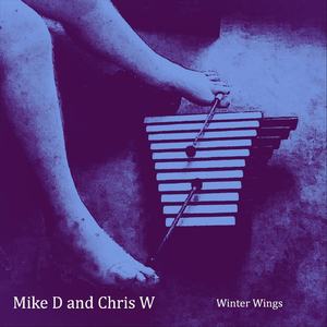 Winter Wings