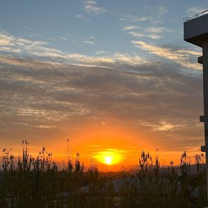 决择（prod by wetgropes）