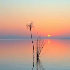 无奈人在风里人在雨里人在爱的岁月里漂流