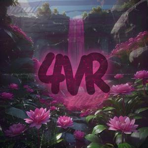 4VR