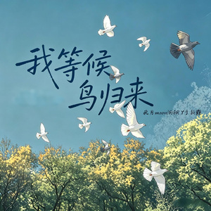 我等侯鸟归来