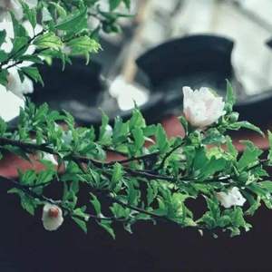 你是我爱过的人