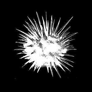 따끔 (feat. KWAII)