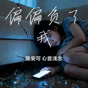 偏偏负了我