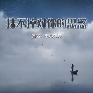 抹不掉对你的思念