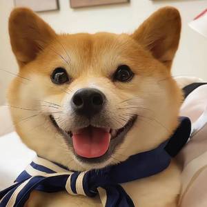 月光总会落在你身上