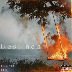 Destined(Prod.Zane98)