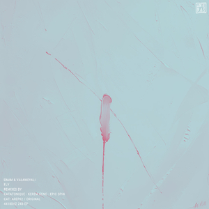 Fly (Kerem Genc Remix)