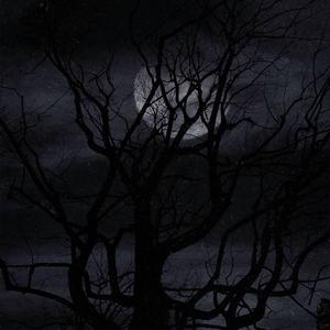 【FREE】"Forest" Dark Trap Beat