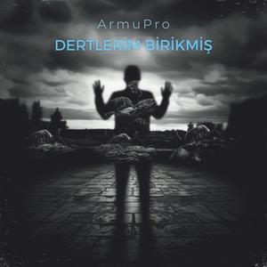 Dertlerim Birikmiş