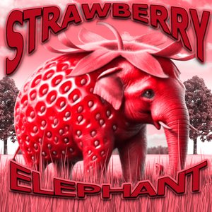 Strawberry Elephant Phonk