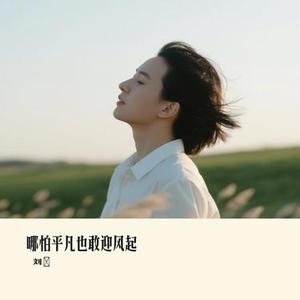 哪怕平凡也敢迎风起