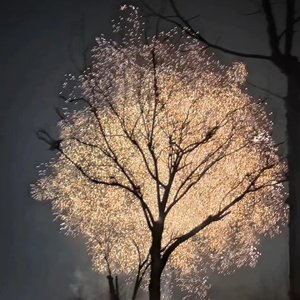 夜雨愁长