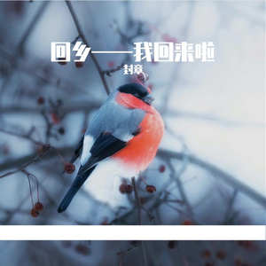 回乡——我回来啦